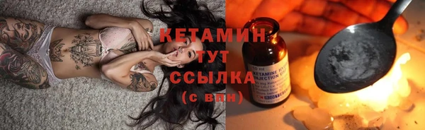 PSILOCYBIN Майский
