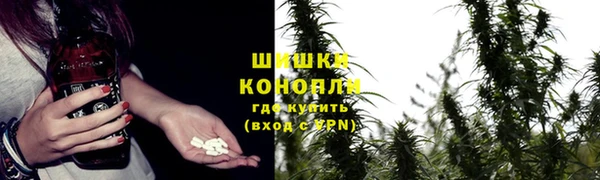 PSILOCYBIN Майский