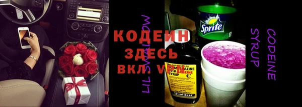 PSILOCYBIN Майский