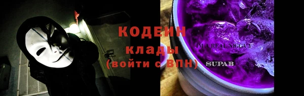 PSILOCYBIN Майский