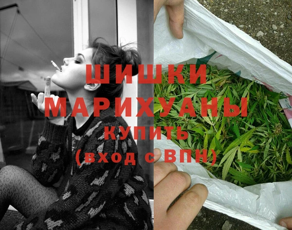 PSILOCYBIN Майский