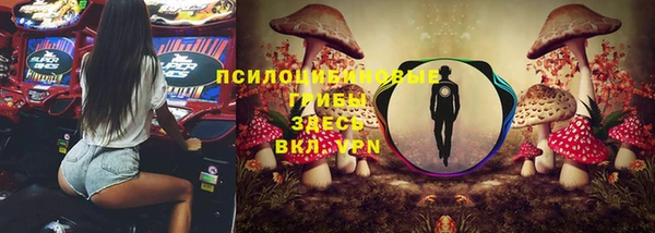 PSILOCYBIN Майский