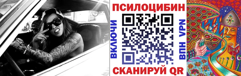 Галлюциногенные грибы Psilocybine cubensis  магазин продажи наркотиков  Зверево 